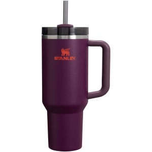 Stanley Adventure Quencher H2.0 Travel Tumbler | 40 oz Plum | WOU827940