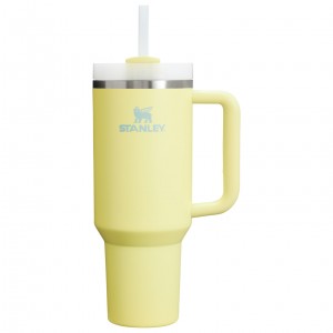 Stanley Adventure Quencher H2.0 Travel Tumbler | 40 oz Pomelo | HIN205174