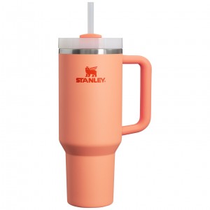 Stanley Adventure Quencher H2.0 Travel Tumbler | 40 oz Nectarine | EDK261097