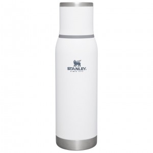 Stanley Adventure To-Go Bottle | 25 OZ Polar | LNX612547