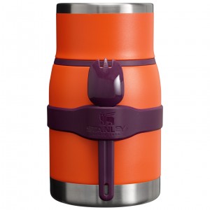 Stanley Adventure To-Go Food Jar + Spork | 24 OZ Tigerlily Plum | MLN284305