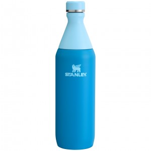 Stanley All Day Slim Bottle | 20 OZ Blankyt | KRY978326