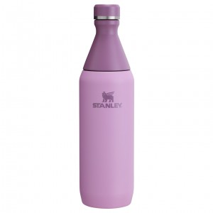 Stanley All Day Slim Bottle | 20 OZ Lilac | POK941683