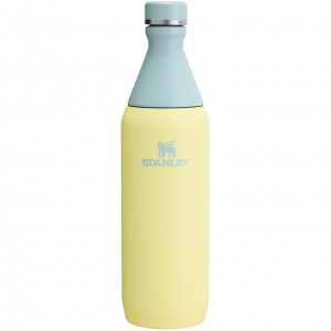 Stanley All Day Slim Bottle | 20 OZ Pomelo | FTM694823