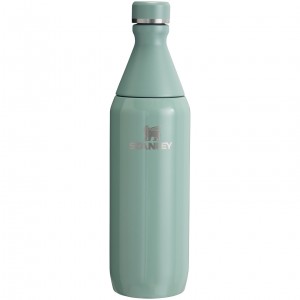 Stanley All Day Slim Bottle | 20 OZ Shale Gloss | RKL908746