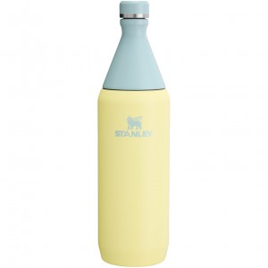Stanley All Day Slim Bottle | 34 OZ Pomelo | JVW074615