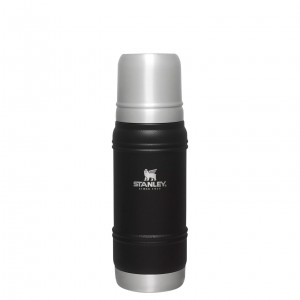 Stanley Artisan Thermal Bottle | 20 OZ Černé | HOX632491