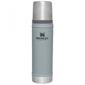 Stanley Classic Legendary Vacuum Insulated Water Bottle | 20 oz Stříbrné | VRF278394