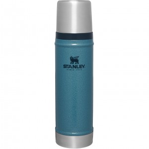 Stanley Classic Legendary Vacuum Insulated Water Bottle | 20 oz Hammertone Lake | CWH675391