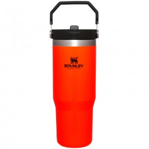 Stanley Hunt + Fish IceFlow™ Flip Straw Tumbler | 30 OZ Oranžové | BRK970628