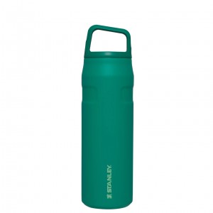 Stanley IceFlow™ Bottle with Cap and Carry+ Lid | 24 OZ Alpine | IVB485190