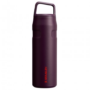Stanley IceFlow™ Bottle with Cap and Carry+ Lid | 24 OZ Plum | RWQ827590