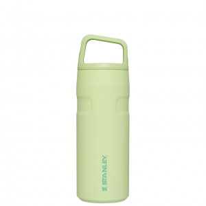 Stanley IceFlow™ Bottle with Cap and Carry+ Lid | 16 OZ Citron | RCL345820