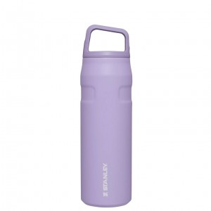 Stanley IceFlow™ Bottle with Cap and Carry+ Lid | 24 OZ Levandule | GVA459781
