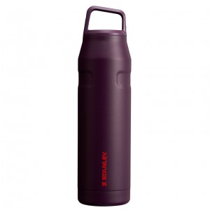 Stanley IceFlow™ Bottle with Cap and Carry+ Lid | 36 OZ Plum | JTC635240