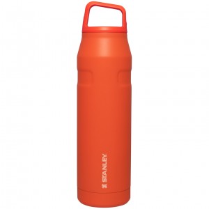 Stanley IceFlow™ Bottle with Cap and Carry+ Lid | 36 OZ Tigerlily | NGR413690