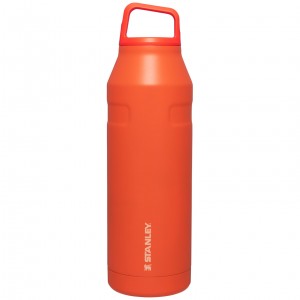 Stanley IceFlow™ Bottle with Cap and Carry+ Lid | 50 OZ Tigerlily | AXK809241