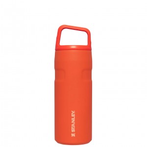 Stanley IceFlow™ Bottle with Cap and Carry+ Lid | 16 OZ Tigerlily | UBL402537