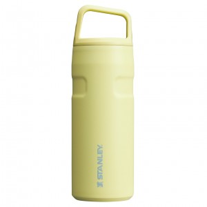 Stanley IceFlow™ Bottle with Cap and Carry+ Lid | 16 OZ Pomelo | VNX431679