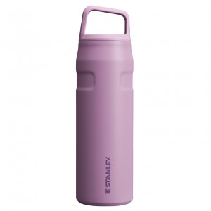 Stanley IceFlow™ Bottle with Cap and Carry+ Lid | 24 OZ Lilac | DQF147865
