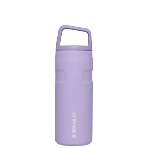 Stanley IceFlow™ Bottle with Cap and Carry+ Lid | 16 OZ Levandule | FQG829450