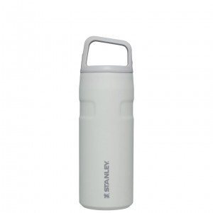 Stanley IceFlow™ Bottle with Cap and Carry+ Lid | 16 OZ Fog Glimmer | OHS061249