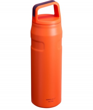 Stanley IceFlow™ Bottle with Cap and Carry+ Lid | 24 OZ Tigerlily Plum | OSD763018