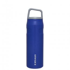 Stanley IceFlow™ Bottle with Cap and Carry+ Lid | 24 OZ Lapis Glimmer | TGS281739