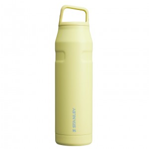 Stanley IceFlow™ Bottle with Cap and Carry+ Lid | 36 OZ Pomelo | MJK863529
