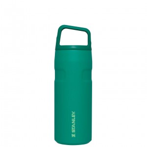 Stanley IceFlow™ Bottle with Cap and Carry+ Lid | 16 OZ Alpine | BDA387061
