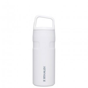Stanley IceFlow™ Bottle with Cap and Carry+ Lid | 16 OZ Polar | ZLQ675421
