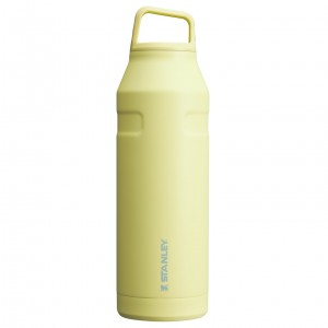 Stanley IceFlow™ Bottle with Cap and Carry+ Lid | 50 OZ Pomelo | HPM971465