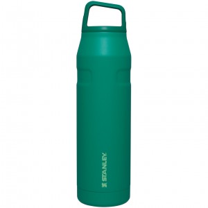 Stanley IceFlow™ Bottle with Cap and Carry+ Lid | 36 OZ Alpine | YJK739158