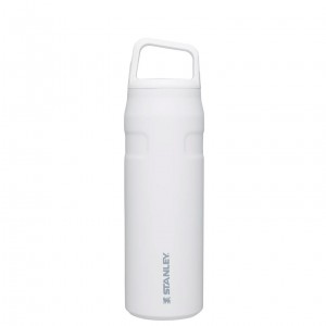 Stanley IceFlow™ Bottle with Cap and Carry+ Lid | 24 OZ Polar | XCA158096