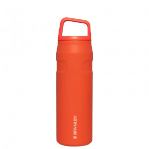 Stanley IceFlow™ Bottle with Cap and Carry+ Lid | 24 OZ Tigerlily | ODJ948516