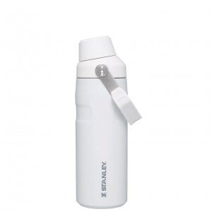 Stanley IceFlow™ Bottle with Fast Flow Lid | 16 OZ Polar | NWV208945