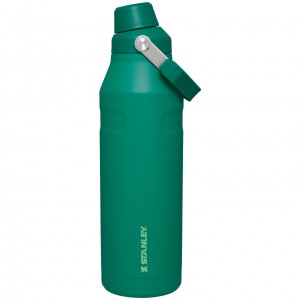 Stanley IceFlow™ Bottle with Fast Flow Lid | 50 OZ Alpine | JSM480792