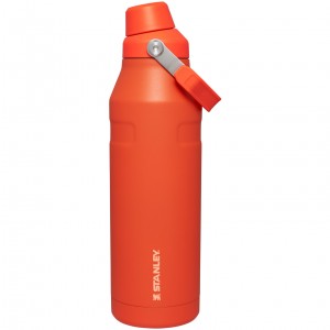 Stanley IceFlow™ Bottle with Fast Flow Lid | 50 OZ Tigerlily | WNH798054