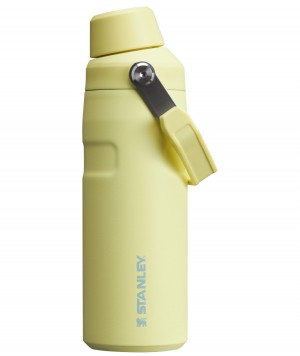 Stanley IceFlow™ Bottle with Fast Flow Lid | 16 OZ Pomelo | ZPK210639