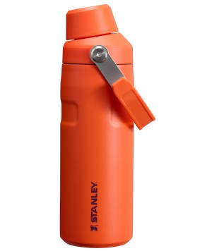 Stanley IceFlow™ Bottle with Fast Flow Lid | 16 OZ Tigerlily Plum | HZN142708