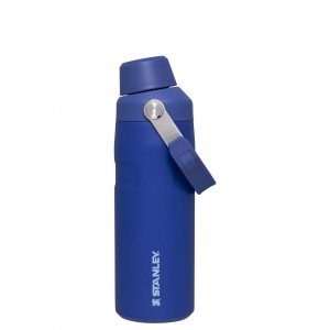 Stanley IceFlow™ Bottle with Fast Flow Lid | 16 OZ Lapis | TRE487320