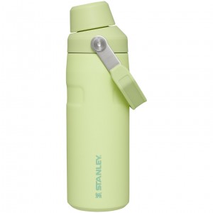 Stanley IceFlow™ Bottle with Fast Flow Lid | 16 OZ Citron | XMV809247