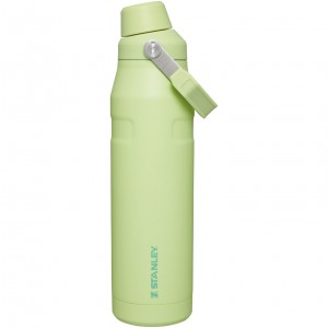 Stanley IceFlow Insulated Bottle with Fast Flow Lid | 36 OZ Citron | AOP691740