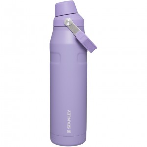 Stanley IceFlow Insulated Bottle with Fast Flow Lid | 36 OZ Levandule | JFO806457