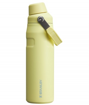 Stanley IceFlow Insulated Bottle with Fast Flow Lid | 24 OZ Pomelo | QAJ897061