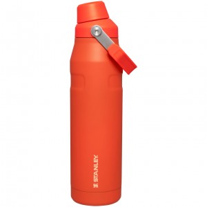 Stanley IceFlow Insulated Bottle with Fast Flow Lid | 36 OZ Tigerlily | ION140837