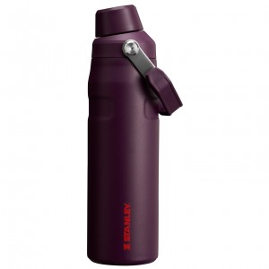 Stanley IceFlow Insulated Bottle with Fast Flow Lid | 24 OZ Plum | LCF210647