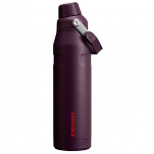 Stanley IceFlow Insulated Bottle with Fast Flow Lid | 36 OZ Plum | QFL371856