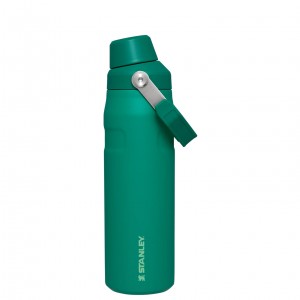 Stanley IceFlow Insulated Bottle with Fast Flow Lid | 24 OZ Alpine | PVE286194