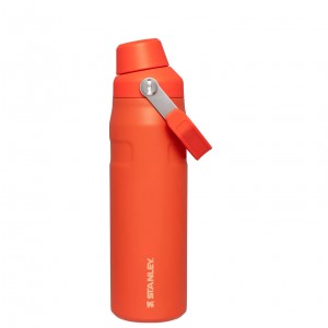 Stanley IceFlow Insulated Bottle with Fast Flow Lid | 24 OZ Tigerlily | OIL021436